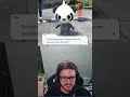 Der vierte Starter in Pokémon-Legenden: Z-A! #twitch
