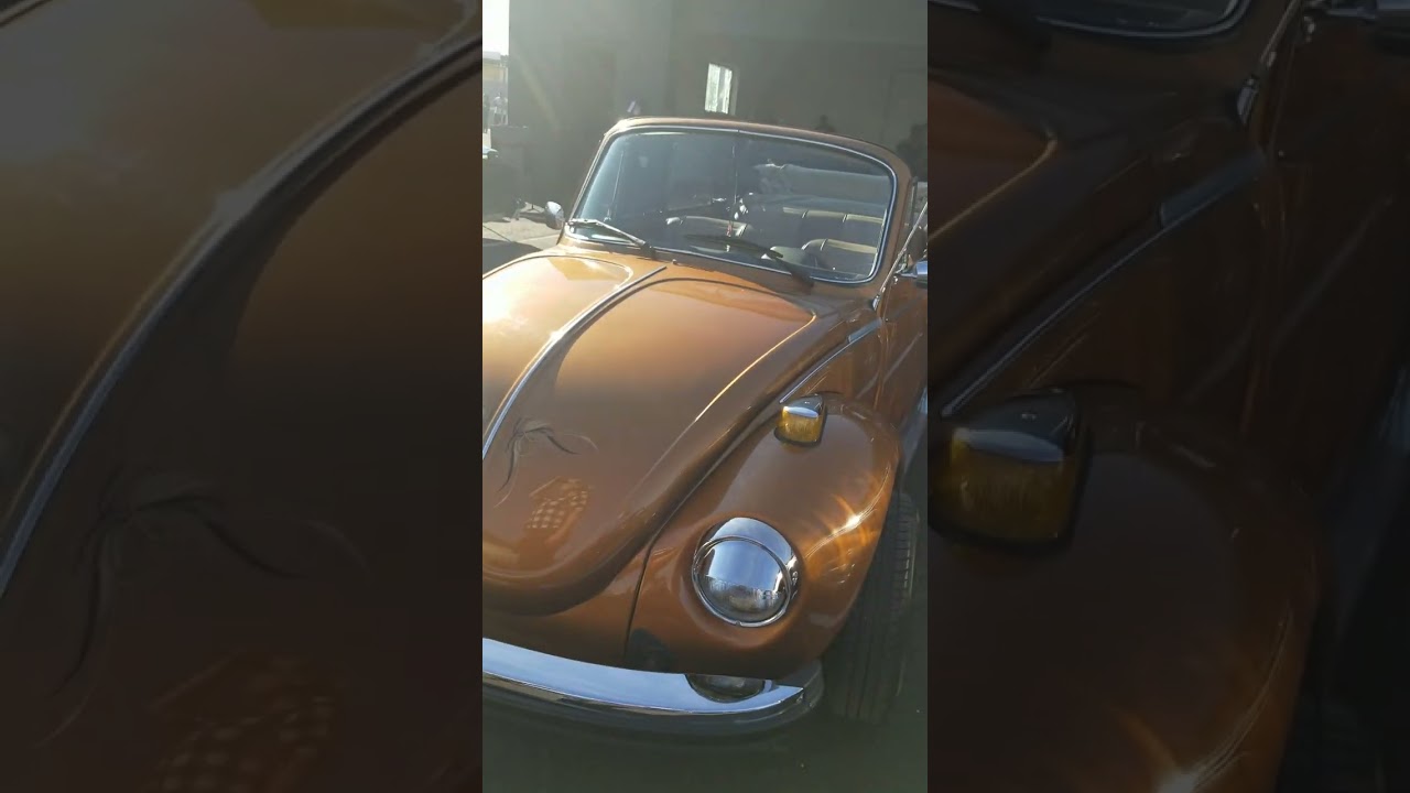 Cannabis Festival at Arizona Organix 2022