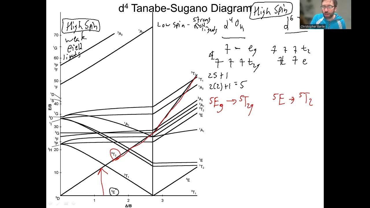 Tanabe Sugano Diagrams Number Of Spin allowed Transitions D4 term-symbol-ground-state-term-symbol-for-various-d-electrons-youtube