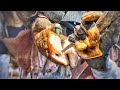 🔴 DEEP HOLE IN COW HOOF / CAN WE FIX THIS BIG MAMA? COW 4201