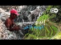 وثائقي كوارث إندونيسيا البيئية النفايات البلاستيكية وقطع الأشجار والفيضانات وثائقية دي دبليو وثائقي كوارث إندونيسيا البيئية النفايات البلاستيكية وقطع الأشجار والفيضانات وثائقية دي دبليو