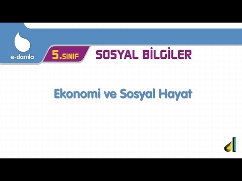 5.Sınıf Sosyal Bilgiler Ekonomi ve Sosyal Hayat