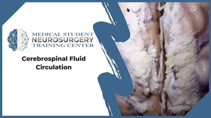 Cerebrospinal Fluid Circulation