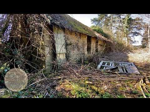 Video: Homeless Dream Home: Două etaje Promenade Residence de BGD Architects