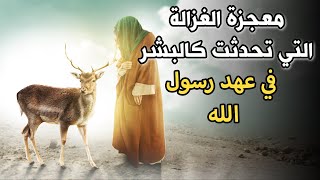 معجزة غزالة تحدثت كالبشر فى عهد رسول الله صلى الله عليه وسلم .. ستبكي