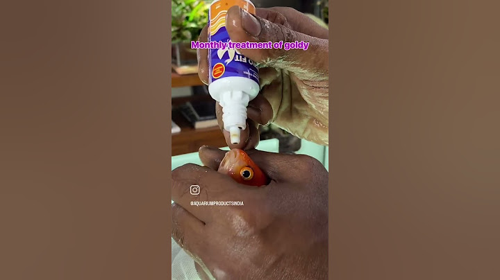 WHY This for my Goldfish  | Life AAYU Nutro Fit Plus  #goldfish #aquarium #goldfishaquarium