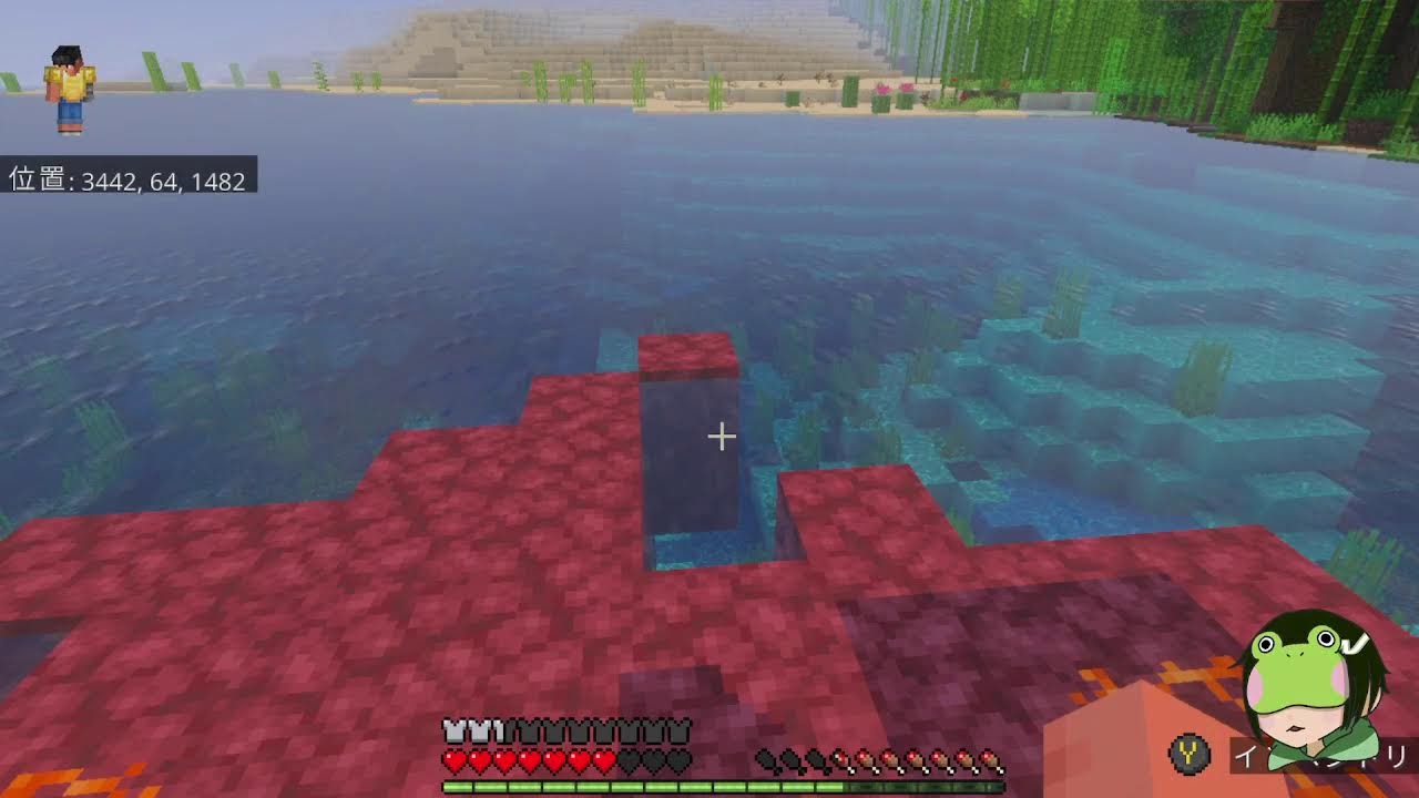 【ゲーム実況】マイクラ初心者がサバイバル生活をする♯9【Minecraft】