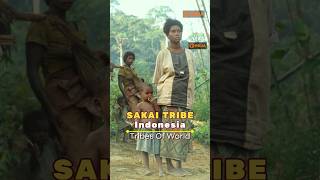 Sakai Tribe Indonesia | Tribes Of World