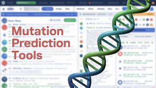 Pathogenicity Prediction of Mutations Using PolyPhen-2, I-Mutant & PANTHER DB