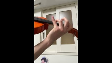 ENDYMION/fallen shepherd ft. RabbiTon Strings Violin