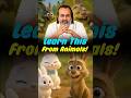 Learn This From Animals 😊 || Acharya Prashant