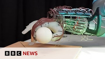 Scientists create robotic hand able to hold objects - BBC News