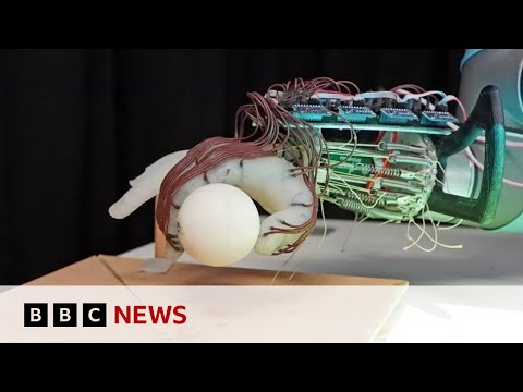 Scientists create robotic hand able to hold objects – BBC News