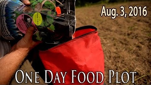 Creating a Food Plot in One Day For Deer with Frigid Forage