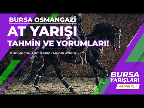 15 Nisan 2022 Cuma Bursa At Yarışı Tahminleri - At yarışı ...