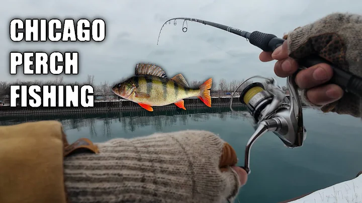 Chicago Perch Fishing - Fishing in BELOW FREEZING Temps!