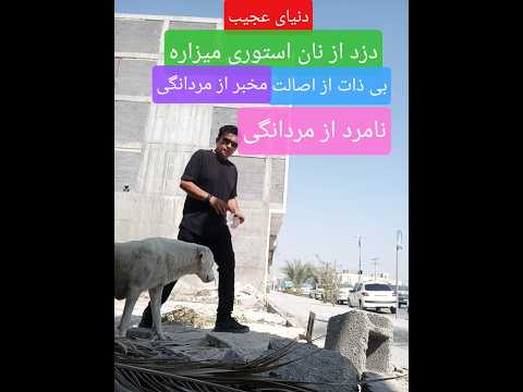 سه شنبه هفت مهر غذا دهی به سگهای بی پناه به نیت محمد کرمی روحش شاد