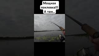 МОЩНАЯ ПОКЛЕВКА! #fishing #spinning #спиннинг #лодка #щука #поклевка #рыбалка