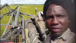 COMPAINI IMEKWAMA CHEKI Msambazaji jileka mapanda TV