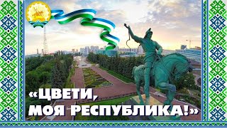 «Цвети, моя Республика!» Видео зарисовка к 30-летию Республики Башкортостан»