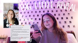 vlogging BIG LITTLE REVEAL like you're on my private story