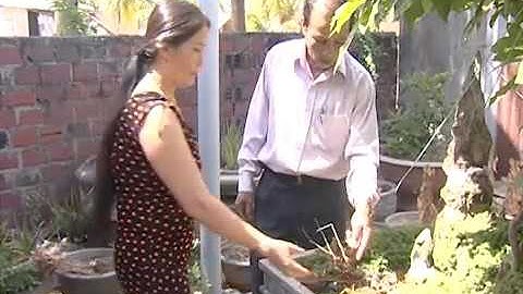 Tăng cường các biện pháp phòng chống sốt xuất huyết