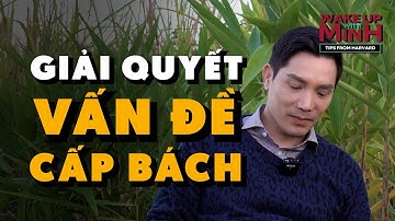 Cách kể chuyện "HÚT HỒN" tổ chức | Wake Up With Minh – Tips From Harvard