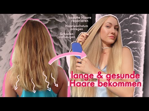 Wie werden kaputte Haare gesund? Es gibt KEIN Wundermittel, hier ist die Lösung! - mit Haarreich ♥