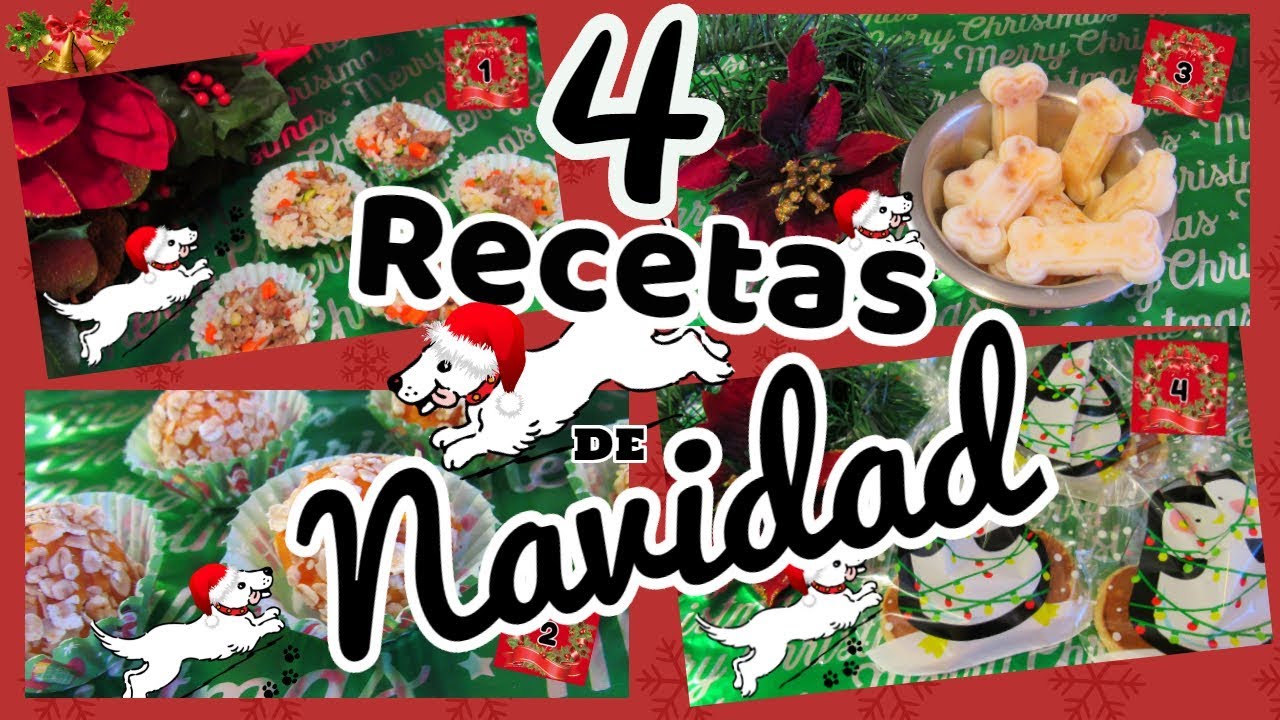 🎄🐩Recetas de Navidad para Perros SIN HORNO, Regalos, DIY Golosinas para Perros I Lorentix