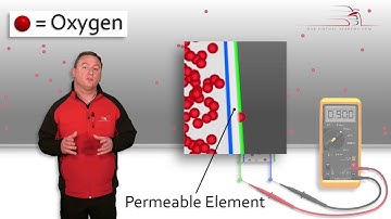 Our Virtual Academy - New Module - Zirconium Dioxide Oxygen Sensor