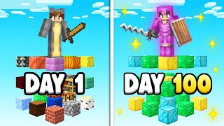 Stuck on Sky Grid for 100 days in Minecraft!
