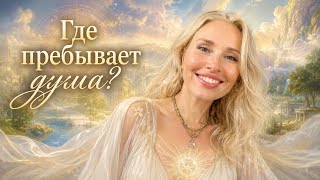 Где находится душа? Как она проживает воплощение? Как относятся к душам в тонком плане?
