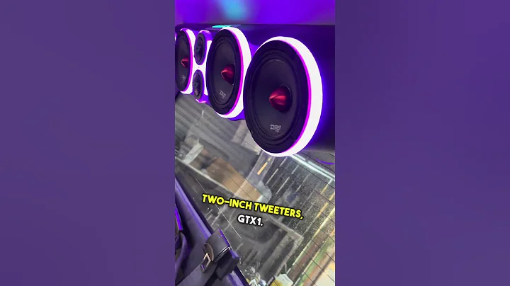 DS18 Universal Roof Rack speaker inclosure install, review. Built in RGB lights, be loud on cheap