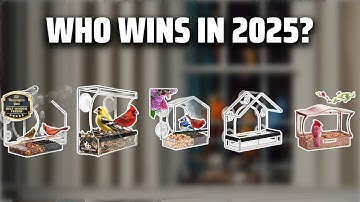 The Top 5 Best Bird Window Feeder in 2025 - Must Watch Before Buying!