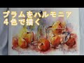 【透明水彩画】プラムをハルモニア４色で描く