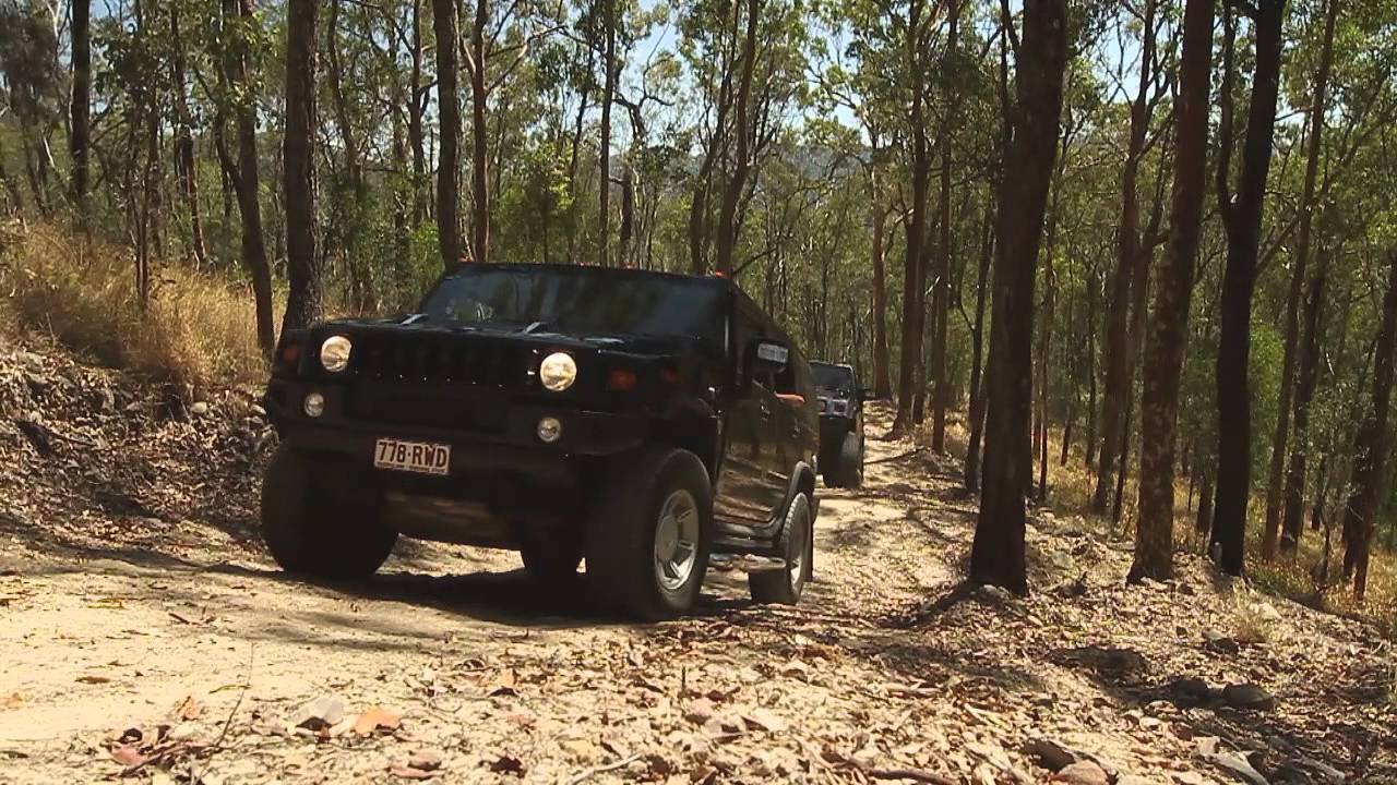 Scenic Day Tour Group Hummer Safari Adventure in Gold Coast by Grasshopper Travel