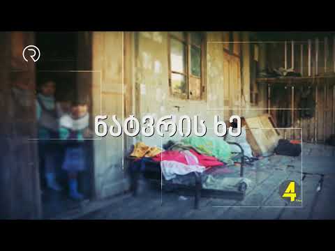 გადაცემა \"ნატვრის ხე\" 07-02-2020