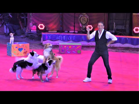 Sandro Montez - Et ses chiens - 44éme Festival International du Cirque de Monte-Carlo 2020