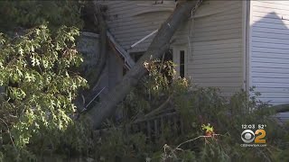 Tree Crashes Through Roof Of Livingston, NJ Home