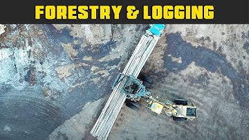 Letourneau 6594 Top Down Unload - Real Life Forestry & Logging - FDR Logging