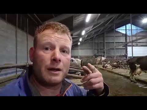 ผลสลากกินแบ่งรัฐบาล วันที่ 1 พย. 2567