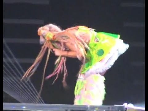 Videos of Lady Gaga Puking