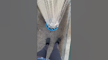 Cast net for bait at skiyway pier ￼