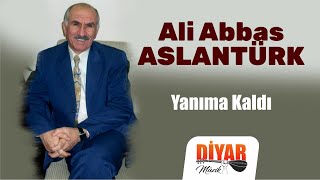Ali Abbas Aslantürk - Yanıma Kaldı Resimi