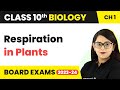 Respiration in Plants - Life Process | Class 10 Biology