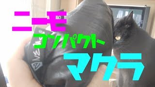 2019年初ポチリ!軽量の枕で快適に寝たい♪開封動画