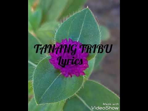 Tanang Tribu-Lyrics Bisayan Christian Song - YouTube