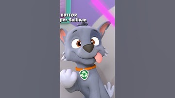 Thumbnail of Derpy Rocky - Paw patrol