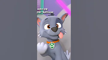 Derpy Rocky Paw Patrol 