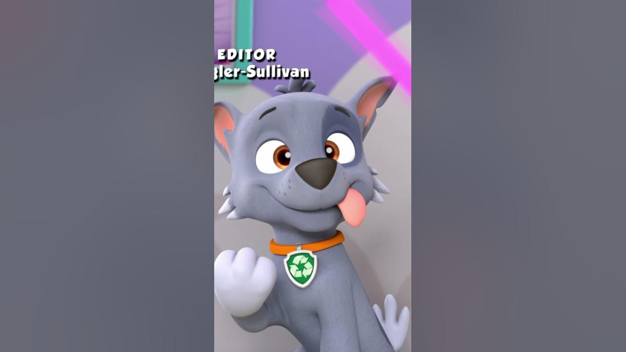 Derpy Rocky - Paw patrol Derpy Rocky - Paw patrol